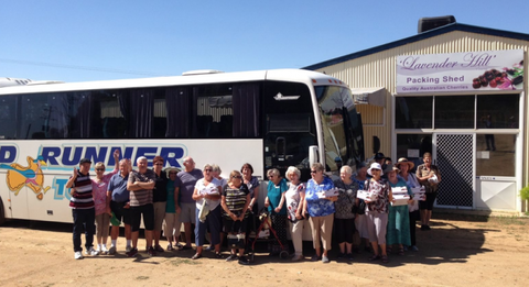 Palmers Leisure Tours - Tourism Listing 3