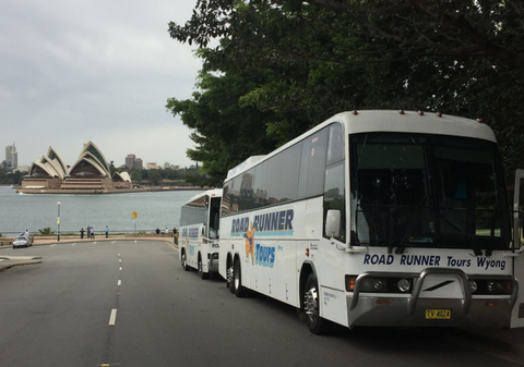 Palmers Leisure Tours - Tourism Listing 4
