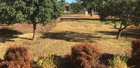 Quirindi Sunflower Motor Inn - Tourism Listing 2