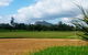 Rowes Bay Golf Club - thumb 1