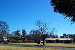 Leeton Caravan Park - Car Rental 4