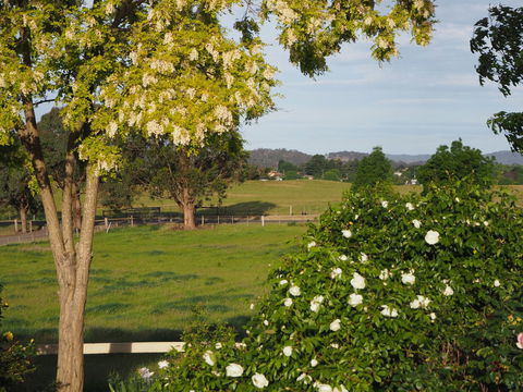 Myamba House Kyneton - Tourism Listing 5