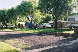 Poplar Caravan Park - Tourism Listing 3