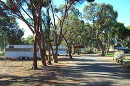 Wycheproof Caravan Park - Tourism Listing 0