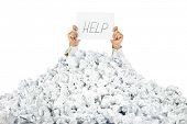 My Virtual Bookkeeper - Byron Bay Accountants 1