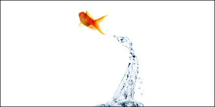 Bookkeeping Solutions - Hunter Valley - Townsville Accountants 2