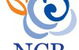 NCB Business Bookkeeping Services - thumb 0
