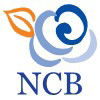NCB Business Bookkeeping Services - Townsville Accountants 0