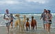 Alpaca Farmstay - thumb 6