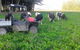 Ludlow Farmstay And B&B  - thumb 5