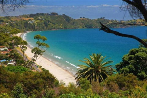 Vida Views - Accommodation New Zealand 1