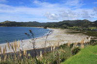 Medlands Beach Backpackers and Villas