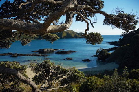 Northland Luxury Villas - Accommodation New Zealand 4