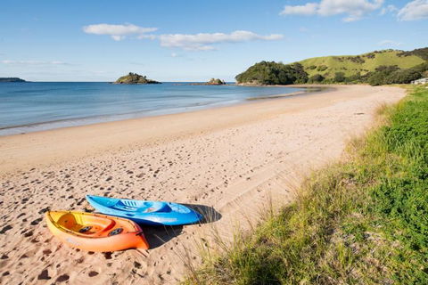 The Beach House At Te Ngaere Bay - Accommodation New Zealand 8