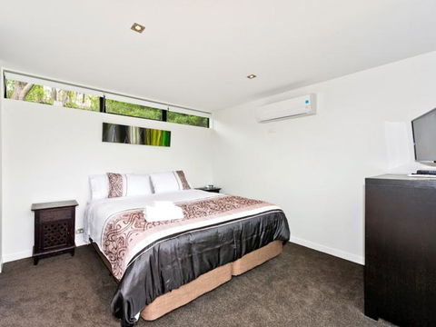 The Palm Beach Treehouse - Accommodation New Zealand 6