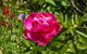 Everland Retreat - thumb 14