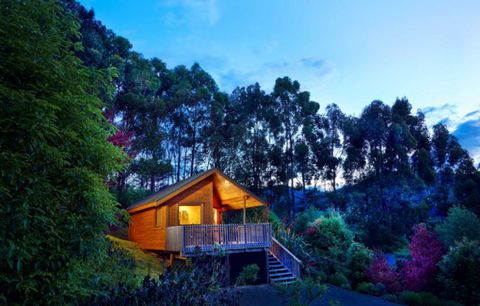 Bush Suites At The Resurgence - Accommodation New Zealand 2