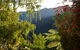 Bush Suites At The Resurgence - thumb 7