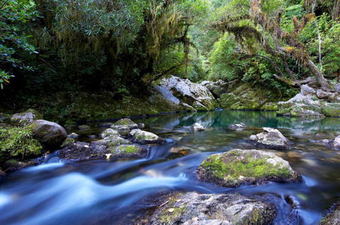 Bush Suites At The Resurgence - Accommodation New Zealand 8
