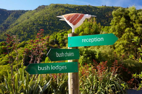 Bush Suites At The Resurgence - Accommodation New Zealand 20
