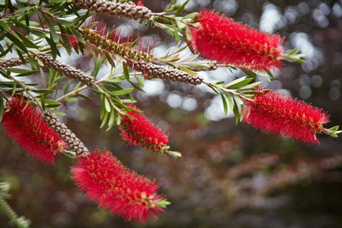 Bush Suites At The Resurgence - Accommodation New Zealand 22
