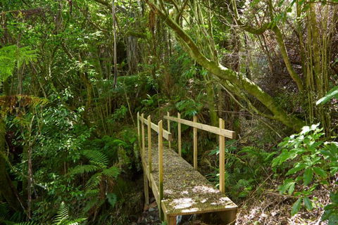 Bush Suites At The Resurgence - Accommodation New Zealand 24