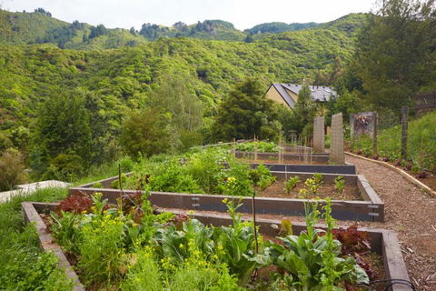 Bush Suites At The Resurgence - Accommodation New Zealand 25