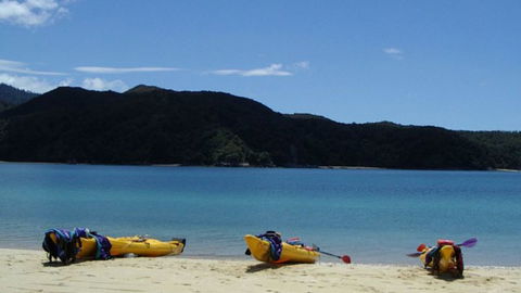 Bush Suites At The Resurgence - Accommodation New Zealand 27