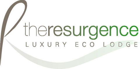 Bush Suites At The Resurgence - Accommodation New Zealand 29
