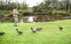Ferry Man's Cottage - thumb 6