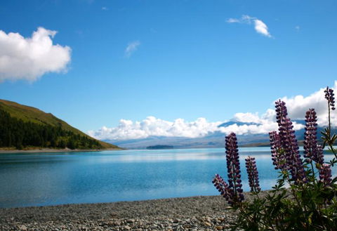 Lake Tekapo Motels And Holiday Park  - Accommodation New Zealand 1