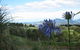 Island View Campground - thumb 1