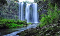 Whangarei Falls Holiday Park  Backpackers