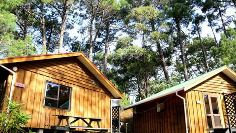 Opoutere Coastal Camping - Tourism Bookings NZ 3