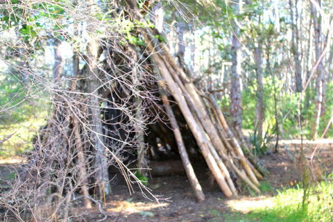 Opoutere Coastal Camping - Tourism Bookings NZ 5