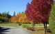 Hanmer Springs Forest Camp - thumb 1