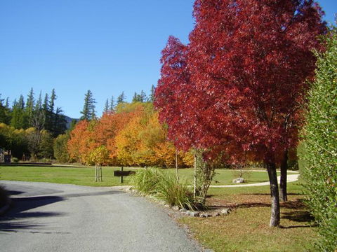 Hanmer Springs Forest Camp - Accommodation New Zealand 1