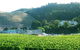 Mission Vista Homestay & Apartment - thumb 0