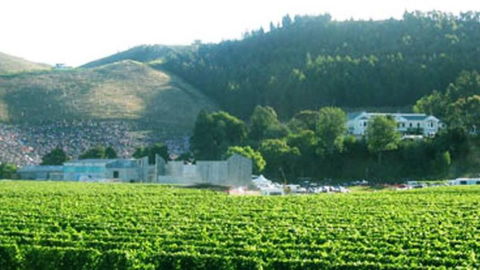 Mission Vista Homestay & Apartment - Accommodation New Zealand 0