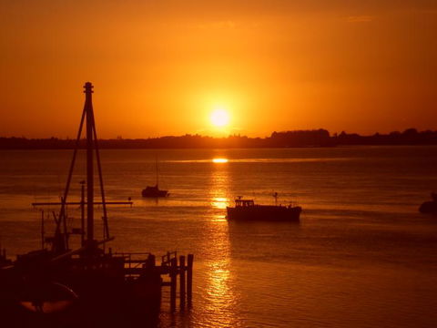Harbourside City Backpackers - Accommodation New Zealand 12