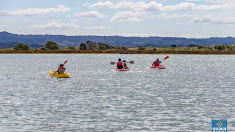 Ohiwa Beach Holiday Park Motel - Accommodation New Zealand 11