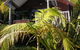 Bay Cabinz Motel - thumb 1