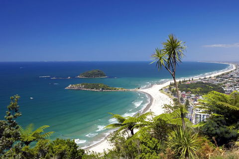 Pacific Coast Lodge And Backpackers - Accommodation New Zealand 7