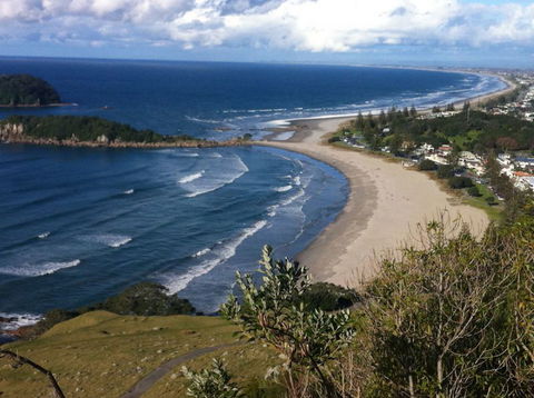 Seagulls Guesthouse - Accommodation New Zealand 8