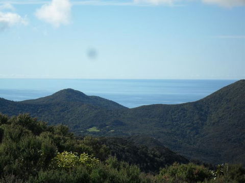 Nature's Garden B&B - Accommodation New Zealand 4