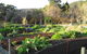 Nature's Garden B&B - thumb 5