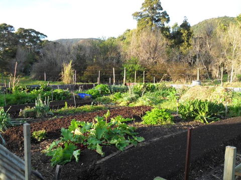Nature's Garden B&B - Accommodation New Zealand 5