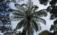 Treetop Apartment - thumb 1