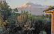 Bird Haven B & B - thumb 5