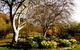 Naylor House - thumb 4